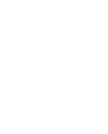 NG体育